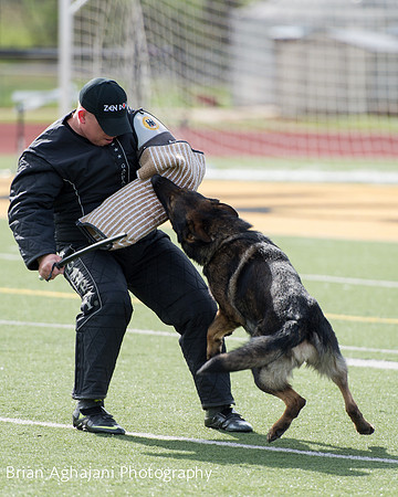 20150411_AWDF-6113_b.aghajani.jpg