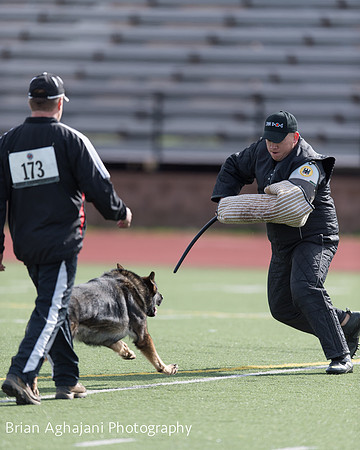 20150411_AWDF-6135_b.aghajani.jpg