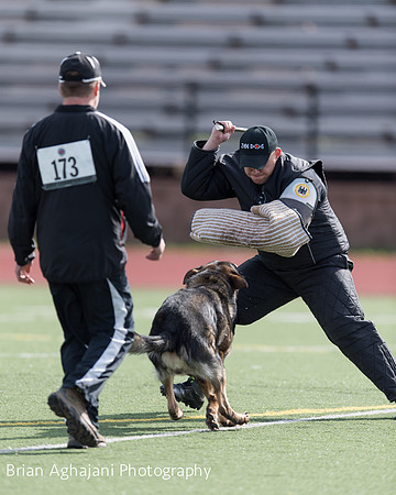 20150411_AWDF-6137_b.aghajani.jpg