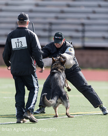 20150411_AWDF-6138_b.aghajani.jpg