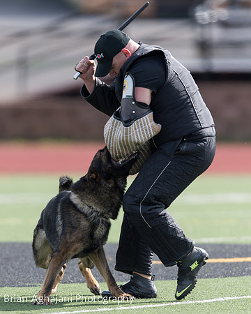 20150411_AWDF-6147_b.aghajani.jpg