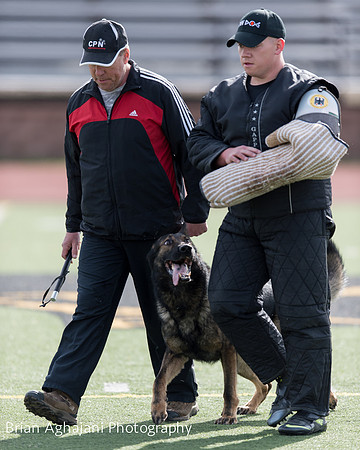 20150411_AWDF-6171_b.aghajani.jpg