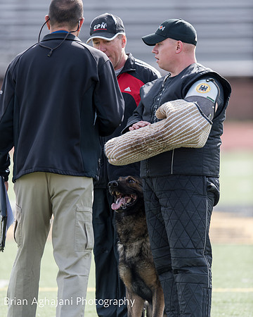 20150411_AWDF-6178_b.aghajani.jpg