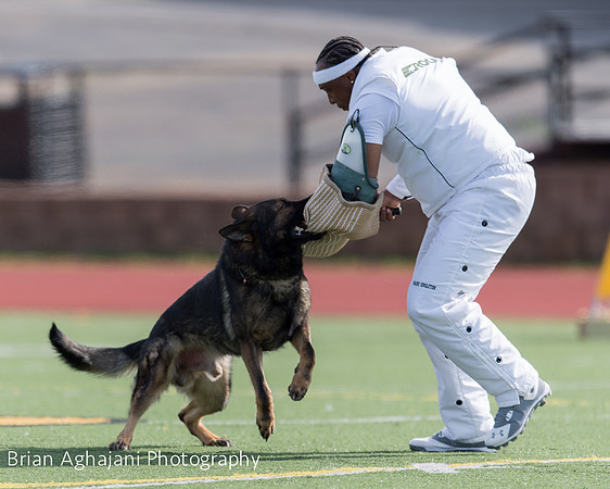 20150411_AWDF-6197_b.aghajani.jpg
