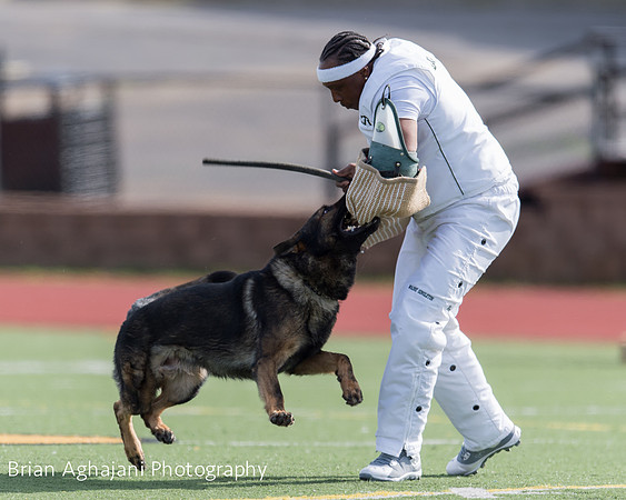 20150411_AWDF-6199_b.aghajani.jpg