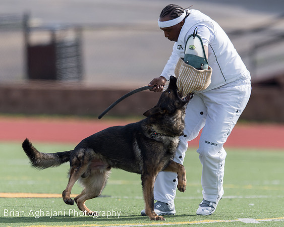 20150411_AWDF-6201_b.aghajani.jpg