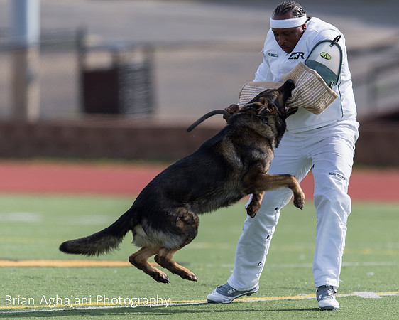 20150411_AWDF-6202_b.aghajani.jpg