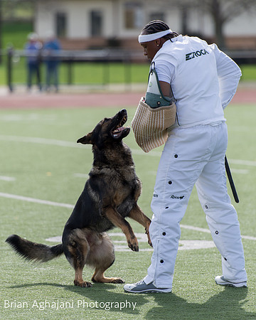 20150411_AWDF-6240_b.aghajani.jpg