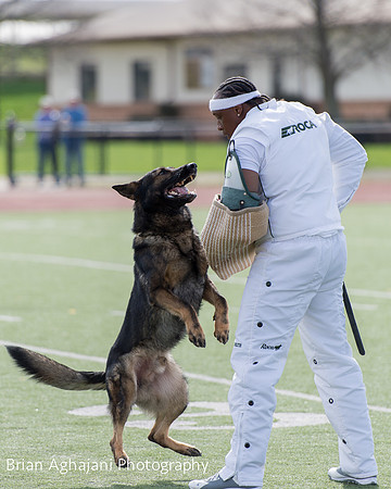 20150411_AWDF-6249_b.aghajani.jpg