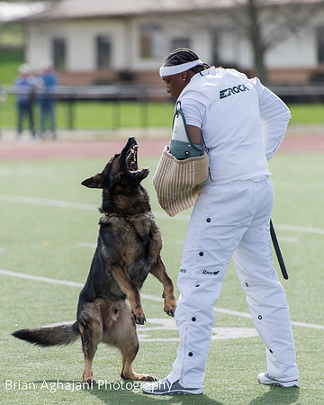 20150411_AWDF-6251_b.aghajani.jpg