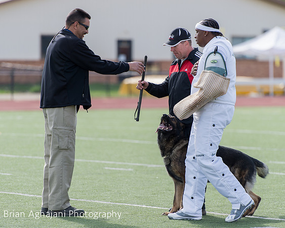 20150411_AWDF-6267_b.aghajani.jpg