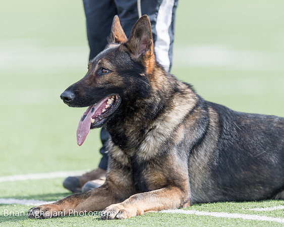 20150411_AWDF-6268_b.aghajani.jpg
