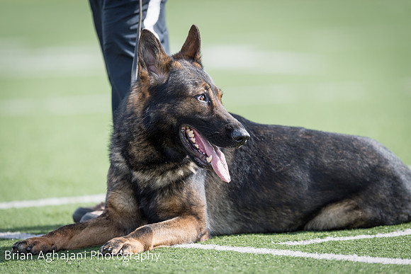 20150411_AWDF-6280_b.aghajani.jpg