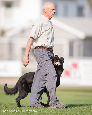 20150508_6444_WDC__brianaghajani.com.jpg