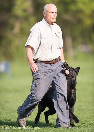 20150508_6463_WDC__brianaghajani.com.jpg