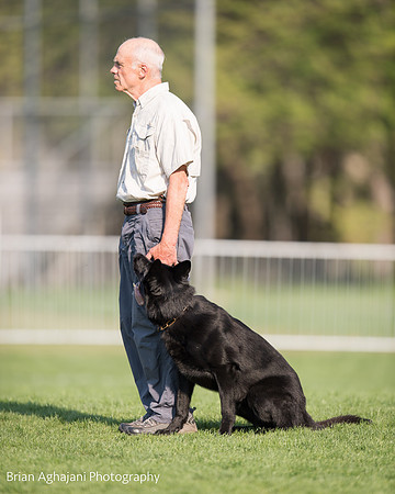 20150508_6527_WDC__brianaghajani.com.jpg