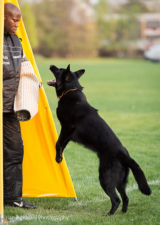 20150508_7570_WDC__brianaghajani.com.jpg