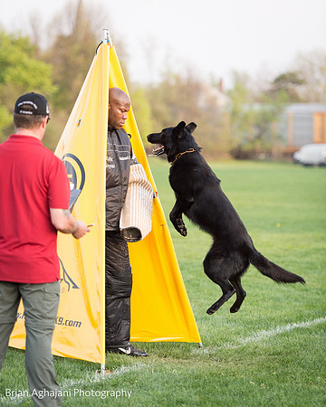 20150508_7578_WDC__brianaghajani.com.jpg