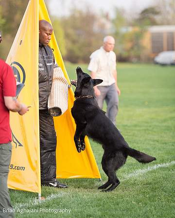 20150508_7589_WDC__brianaghajani.com.jpg