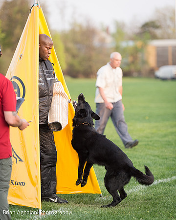 20150508_7590_WDC__brianaghajani.com.jpg