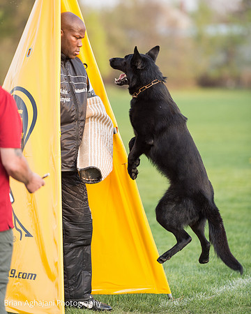 20150508_7594_WDC__brianaghajani.com.jpg