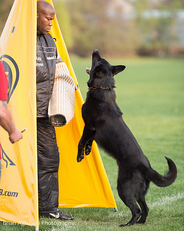 20150508_7596_WDC__brianaghajani.com.jpg