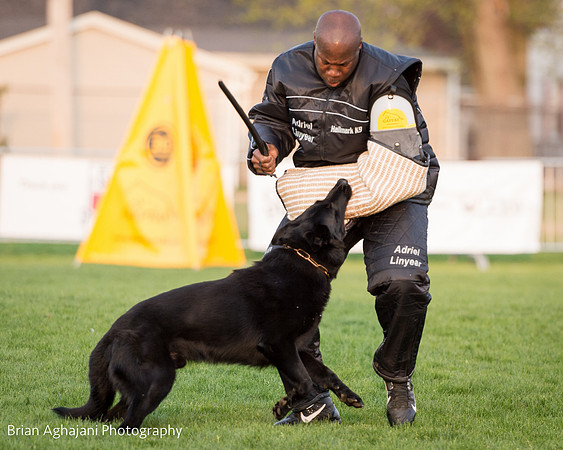 20150508_7654_WDC__brianaghajani.com.jpg