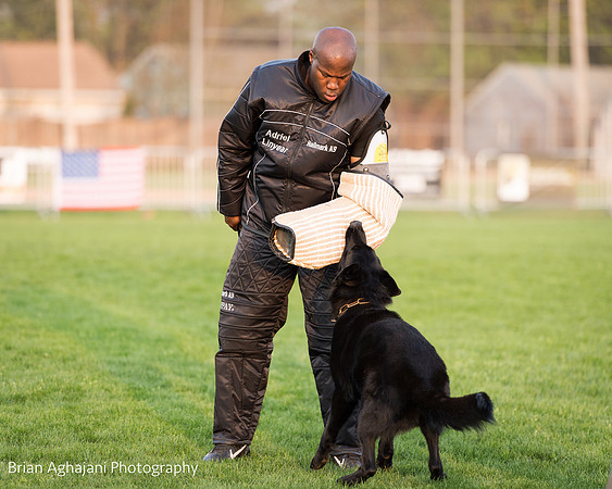 20150508_7657_WDC__brianaghajani.com.jpg