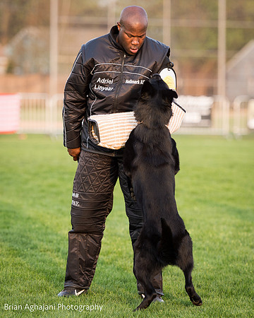 20150508_7660_WDC__brianaghajani.com.jpg