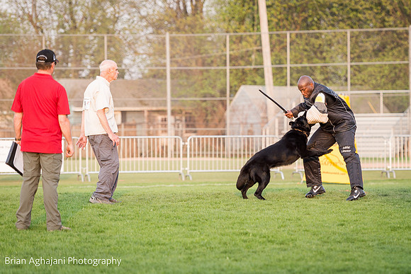 20150508_7665_WDC__brianaghajani.com.jpg