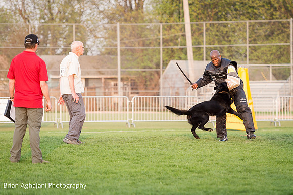 20150508_7666_WDC__brianaghajani.com.jpg