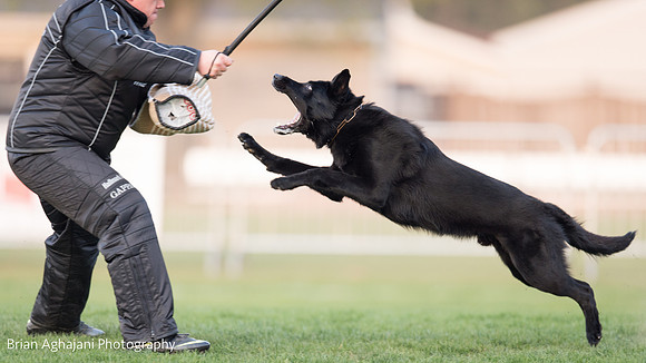 20150508_7693_WDC__brianaghajani.com.jpg