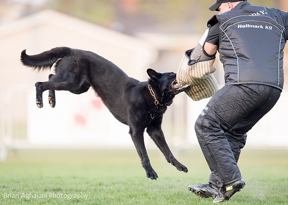 20150508_7700_WDC__brianaghajani.com.jpg