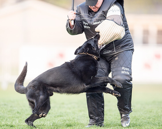 20150508_7708_WDC__brianaghajani.com.jpg