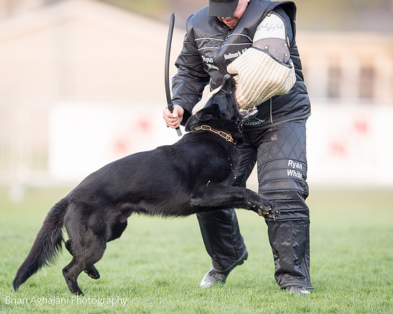 20150508_7709_WDC__brianaghajani.com.jpg