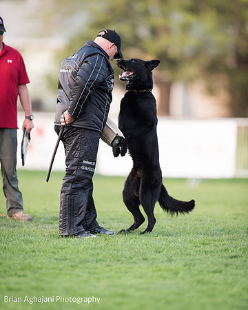 20150508_7767_WDC__brianaghajani.com.jpg