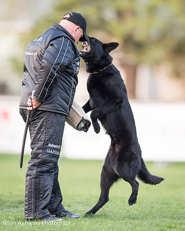 20150508_7769_WDC__brianaghajani.com.jpg