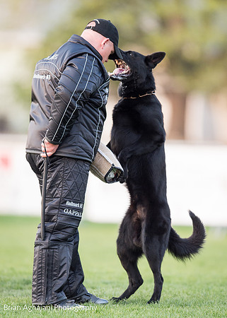 20150508_7776_WDC__brianaghajani.com.jpg