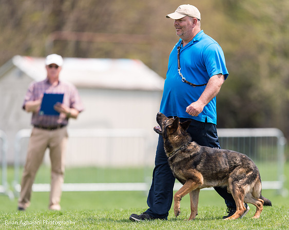 20150508_3766_WDC__brianaghajani.com.jpg