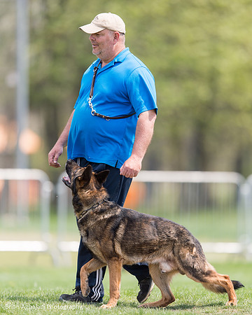 20150508_3770_WDC__brianaghajani.com.jpg