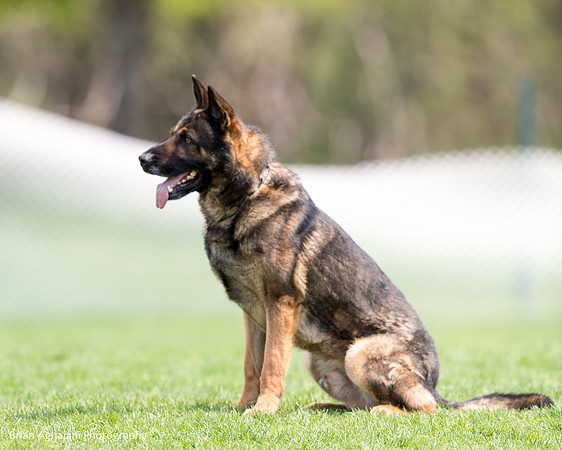 20150508_3786_WDC__brianaghajani.com.jpg