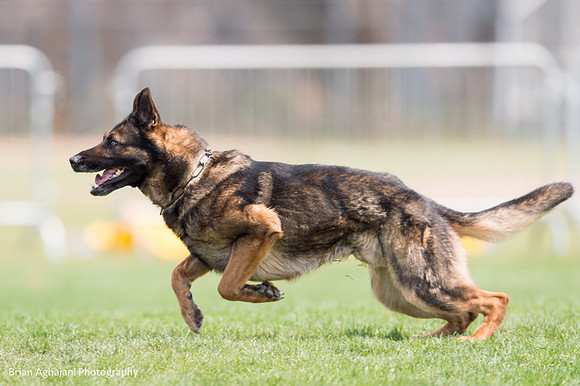 20150508_3791_WDC__brianaghajani.com.jpg