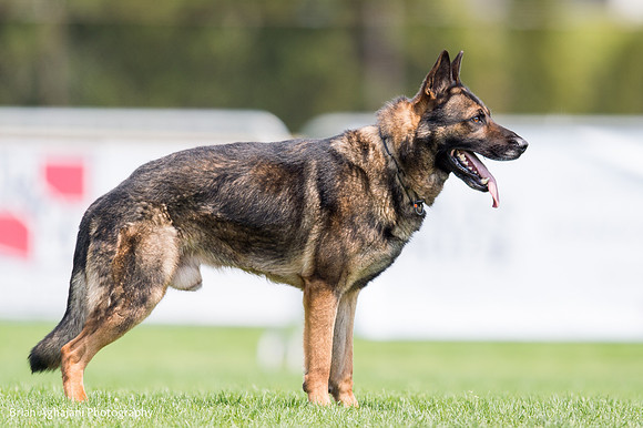 20150508_3794_WDC__brianaghajani.com.jpg