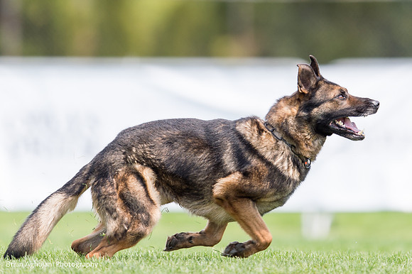 20150508_3798_WDC__brianaghajani.com.jpg