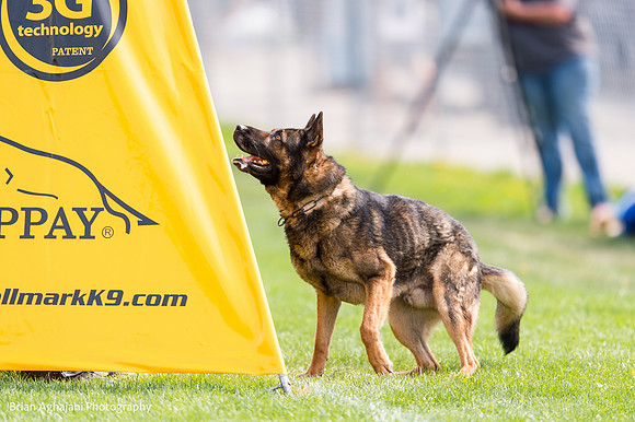 20150508_4973_WDC__brianaghajani.com.jpg