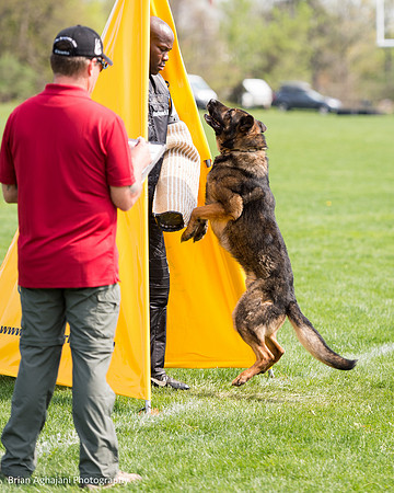 20150508_4987_WDC__brianaghajani.com.jpg