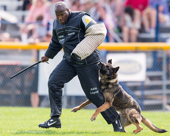 20150508_4997_WDC__brianaghajani.com.jpg