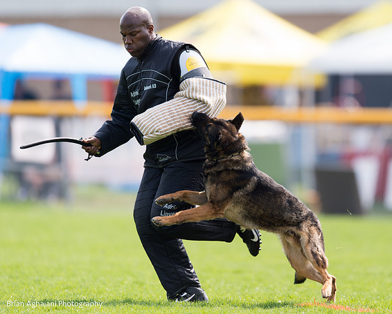 20150508_5004_WDC__brianaghajani.com.jpg