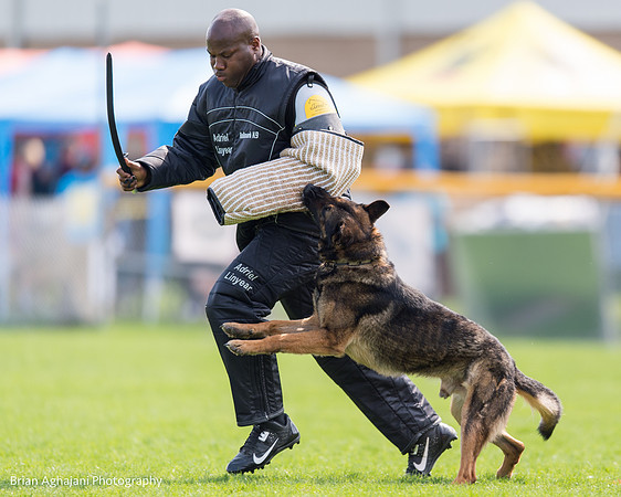 20150508_5005_WDC__brianaghajani.com.jpg