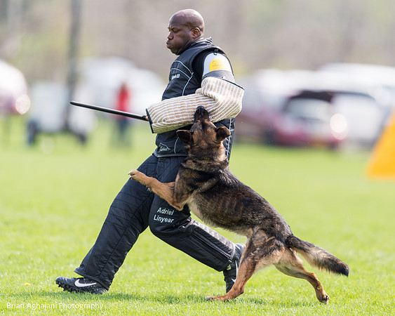 20150508_5009_WDC__brianaghajani.com.jpg